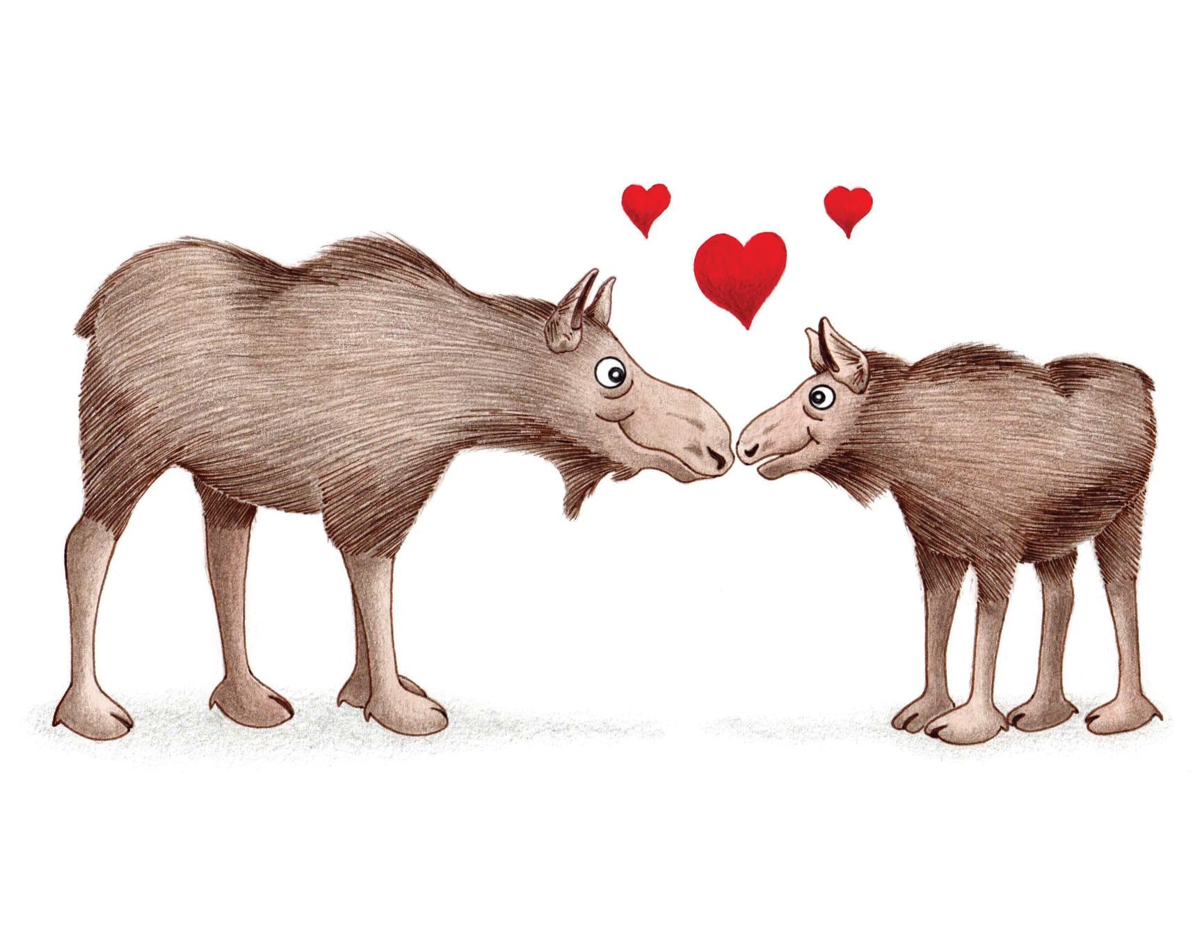 Moose Blank Greeting Card