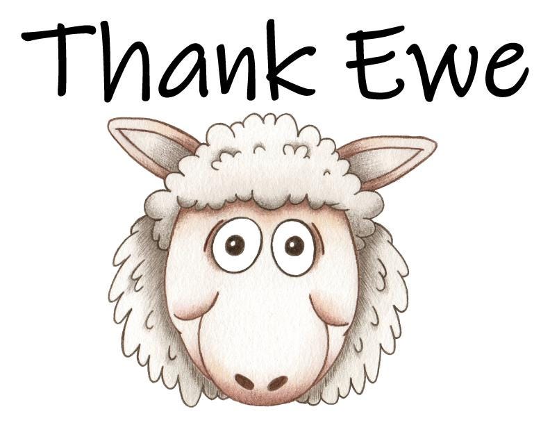 Sheep Thank You Blank Greeting Card