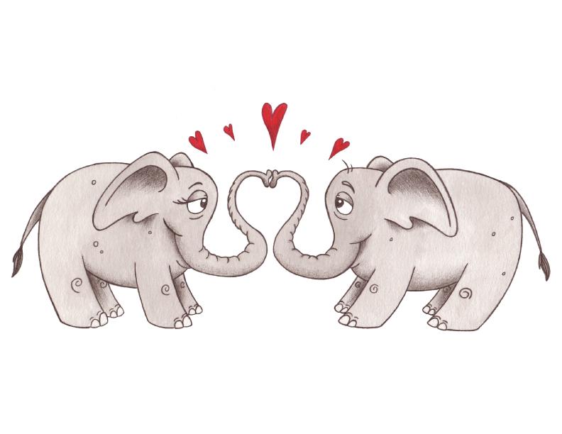 Elephant Blank Greeting Card 1