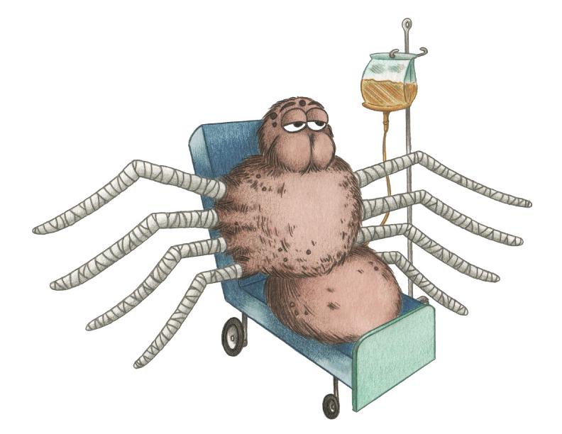 Spider Blank Greeting Card